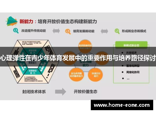 心理弹性在青少年体育发展中的重要作用与培养路径探讨
