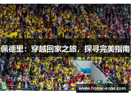 佩德里：穿越回家之旅，探寻完美指南