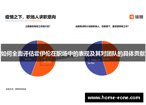 如何全面评估霍伊伦在职场中的表现及其对团队的具体贡献