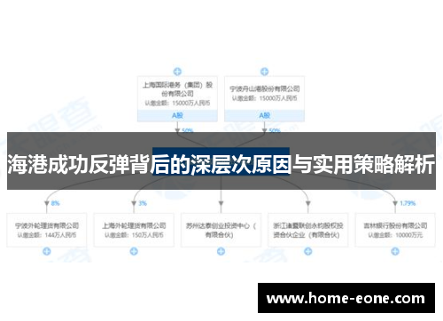 海港成功反弹背后的深层次原因与实用策略解析