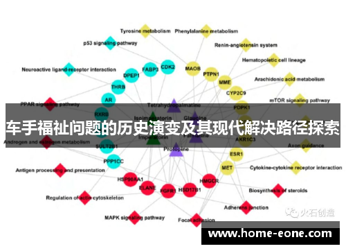 车手福祉问题的历史演变及其现代解决路径探索