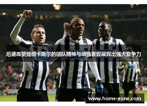 厄德高赞扬纽卡斯尔的团队精神与顽强表现展现出强大竞争力