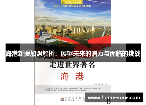 海港新援加盟解析：展望未来的潜力与面临的挑战